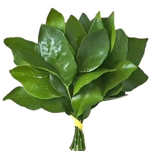 心脉受损