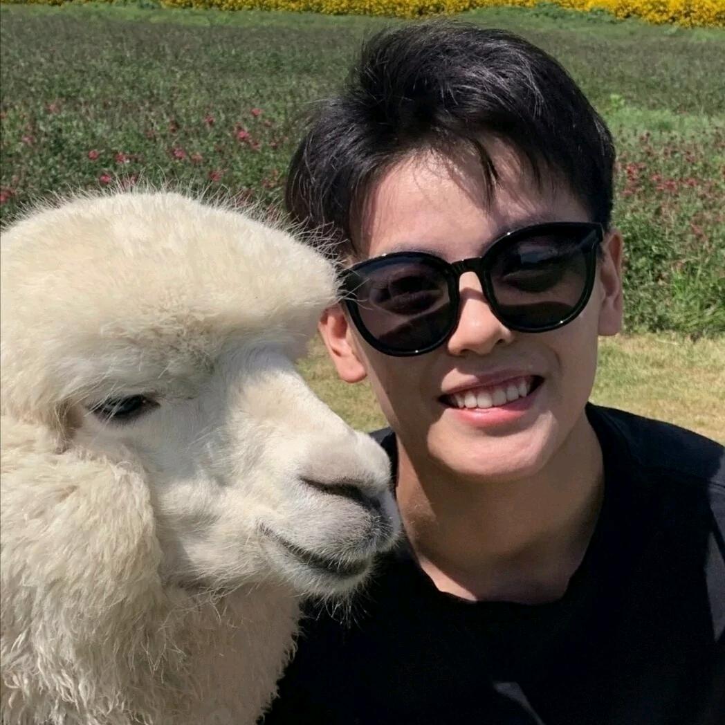 莫y不会打球👊