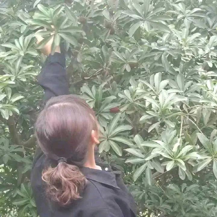 心雨
