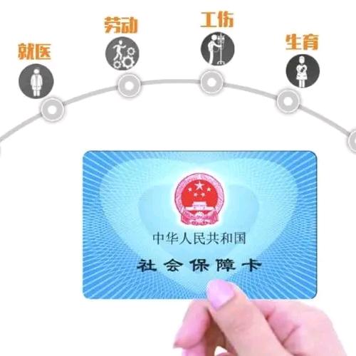 小书讲社保（收徒）
