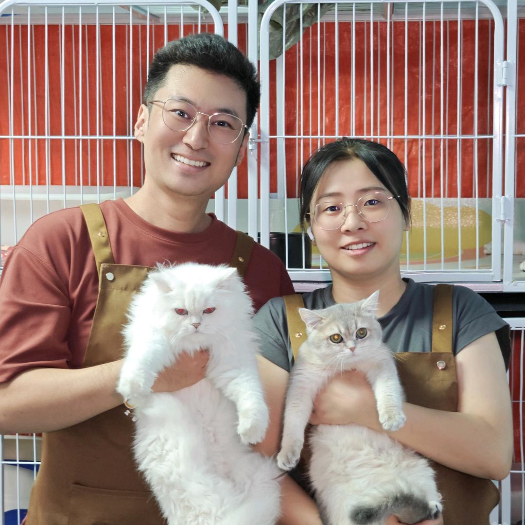 雪婷家的猫