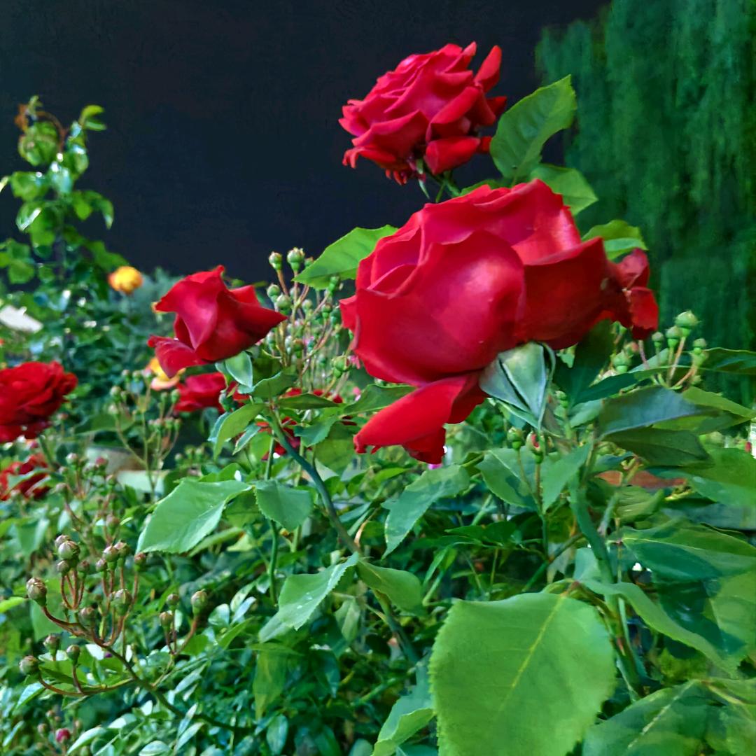 幸福交给懂你的人