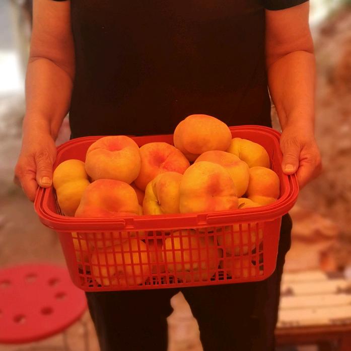 荥阳臻品农场蟠桃采摘