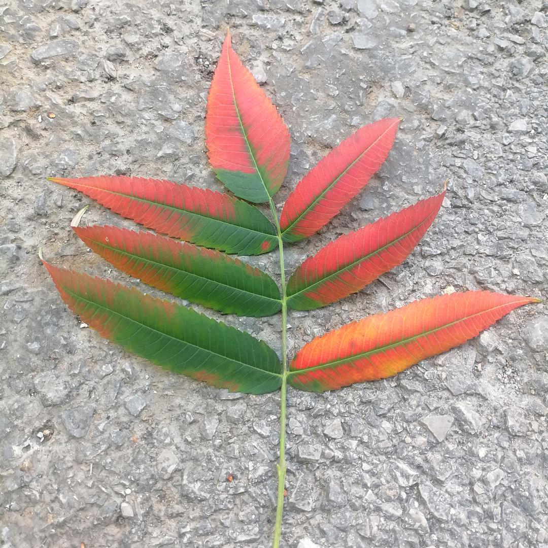 人生就像一场戏