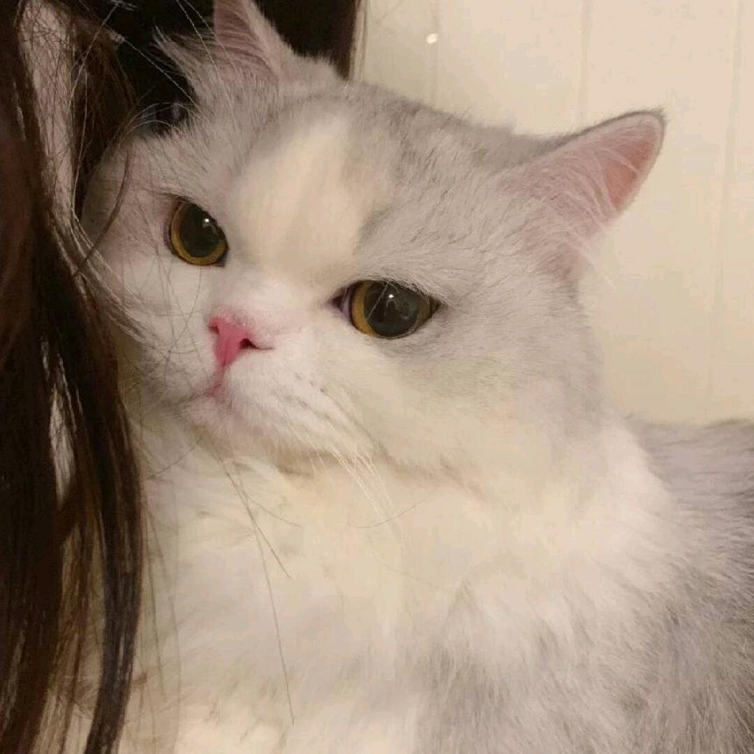 你别皱眉