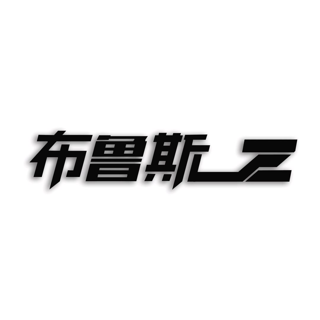布鲁斯_Z
