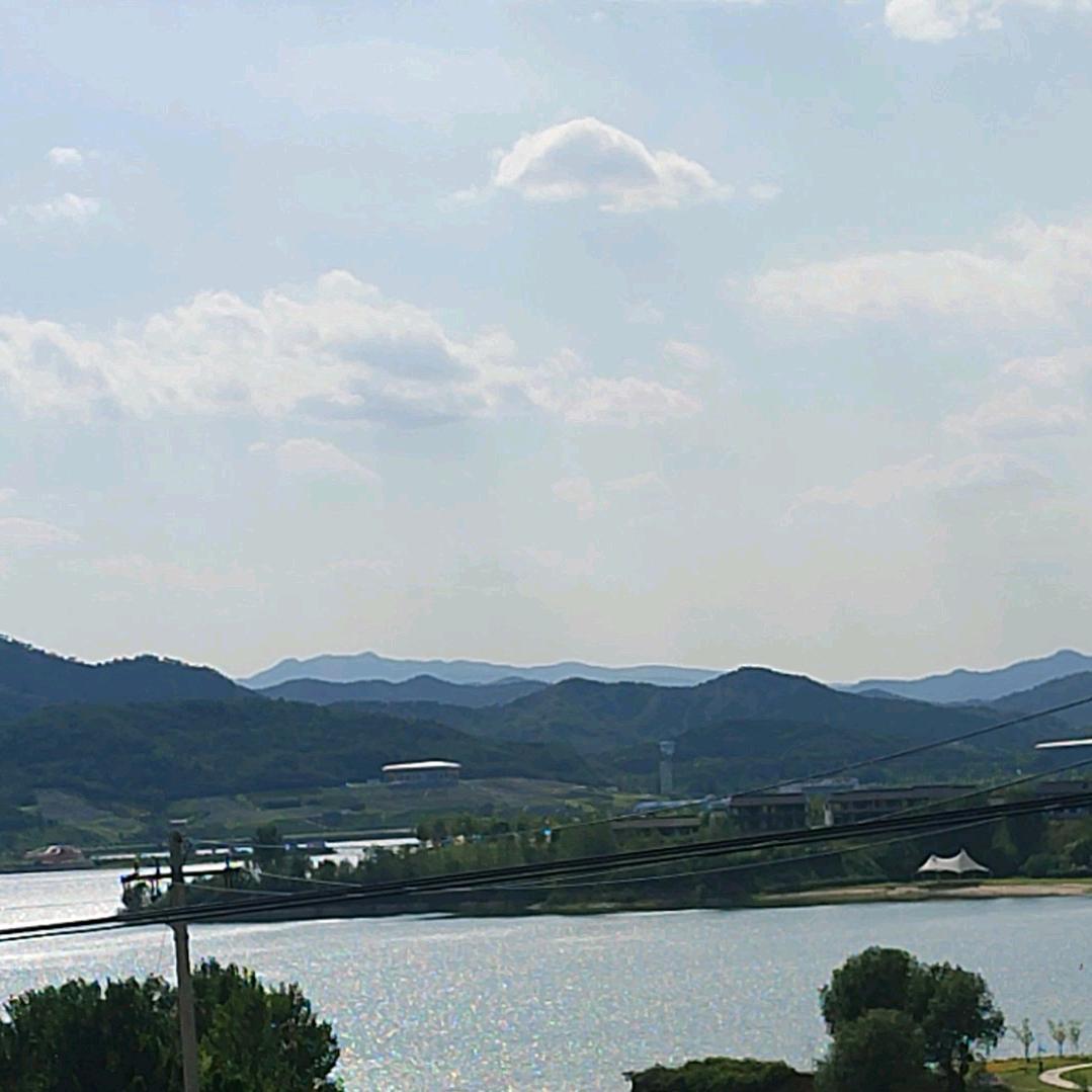橄榄绿叶