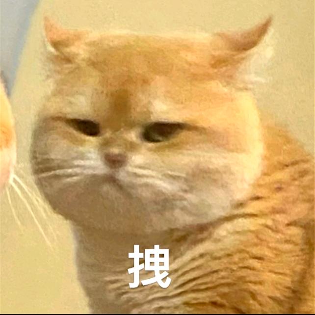 向北而行