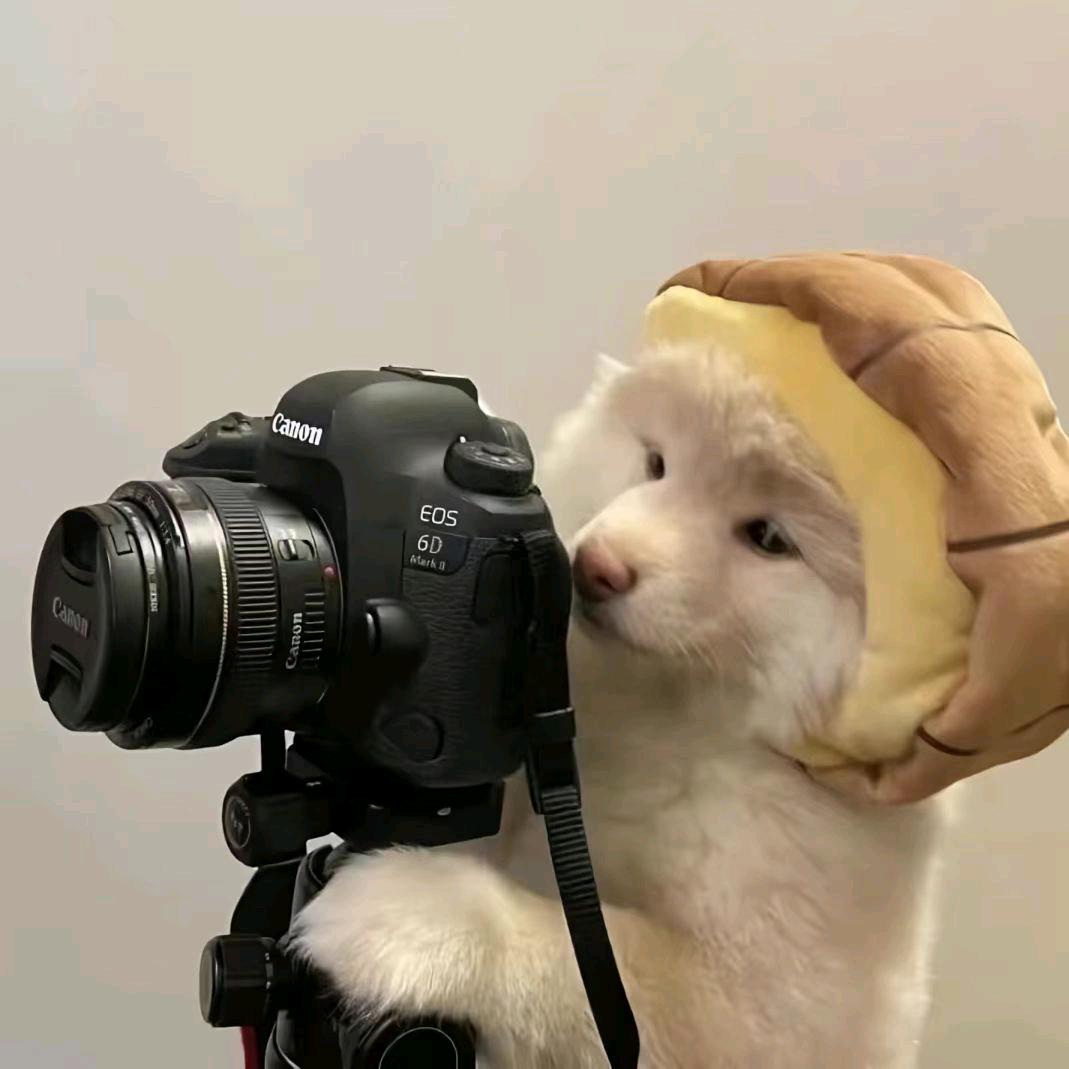 咋也睡不醒