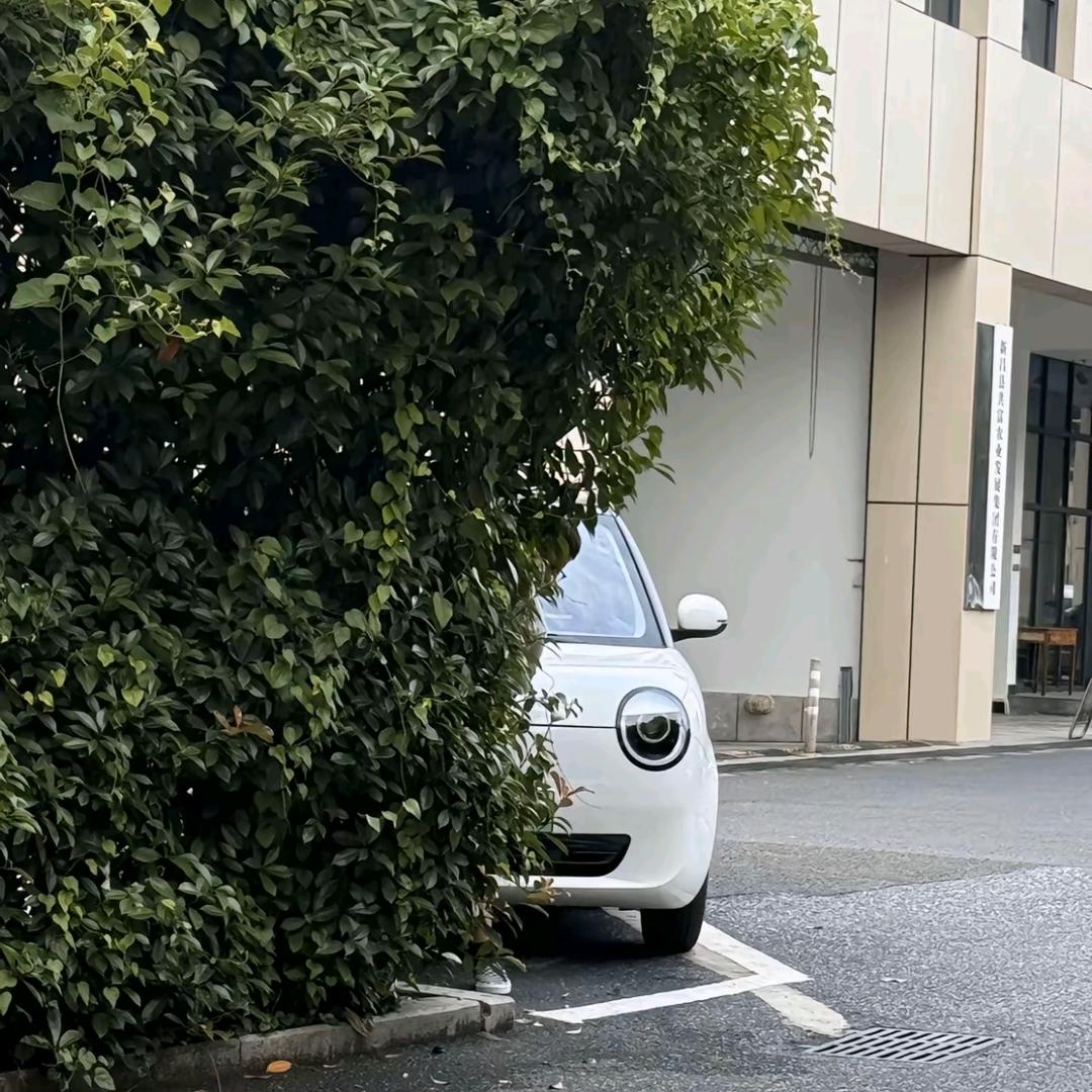 茹茹的邪恶糯玉米