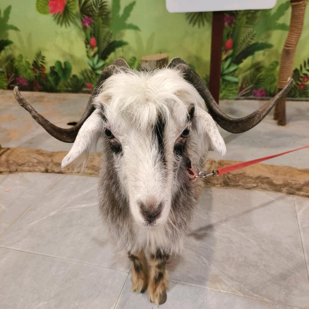 FW，给谁练的🏃🏻‍♀️