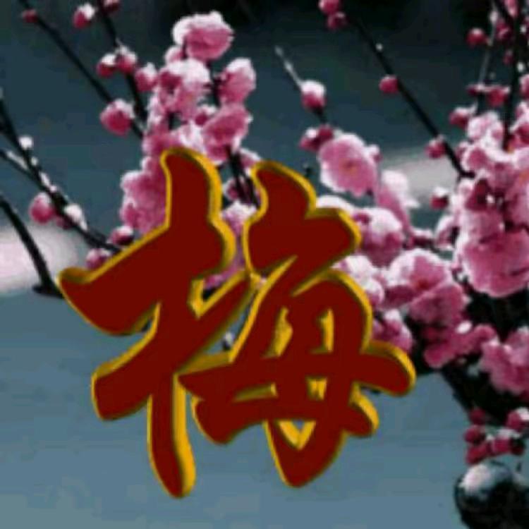 a梅子