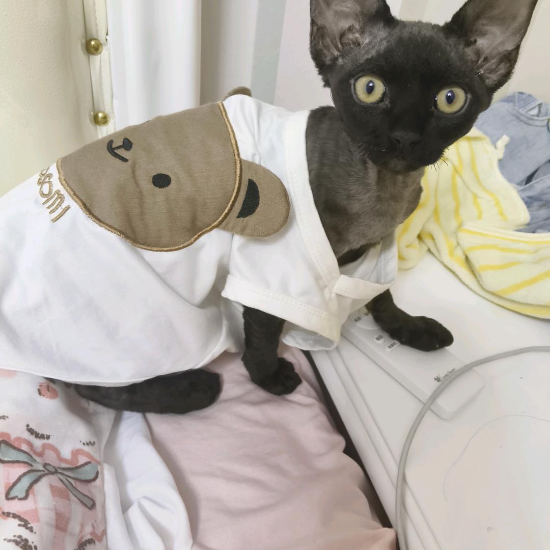 不吃姜