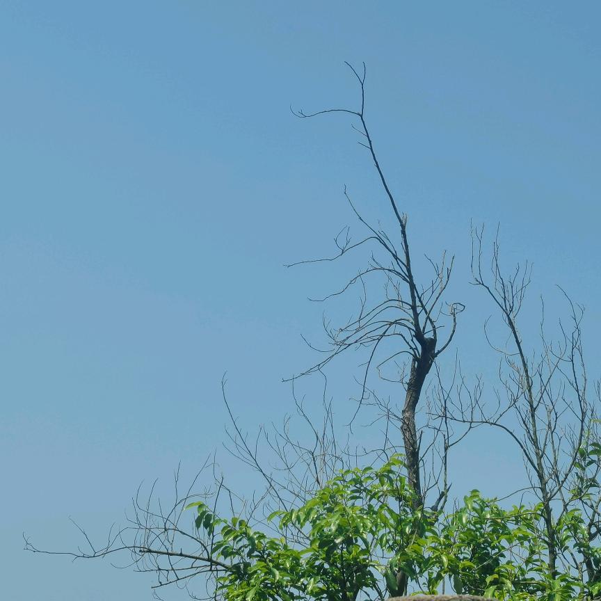 空气