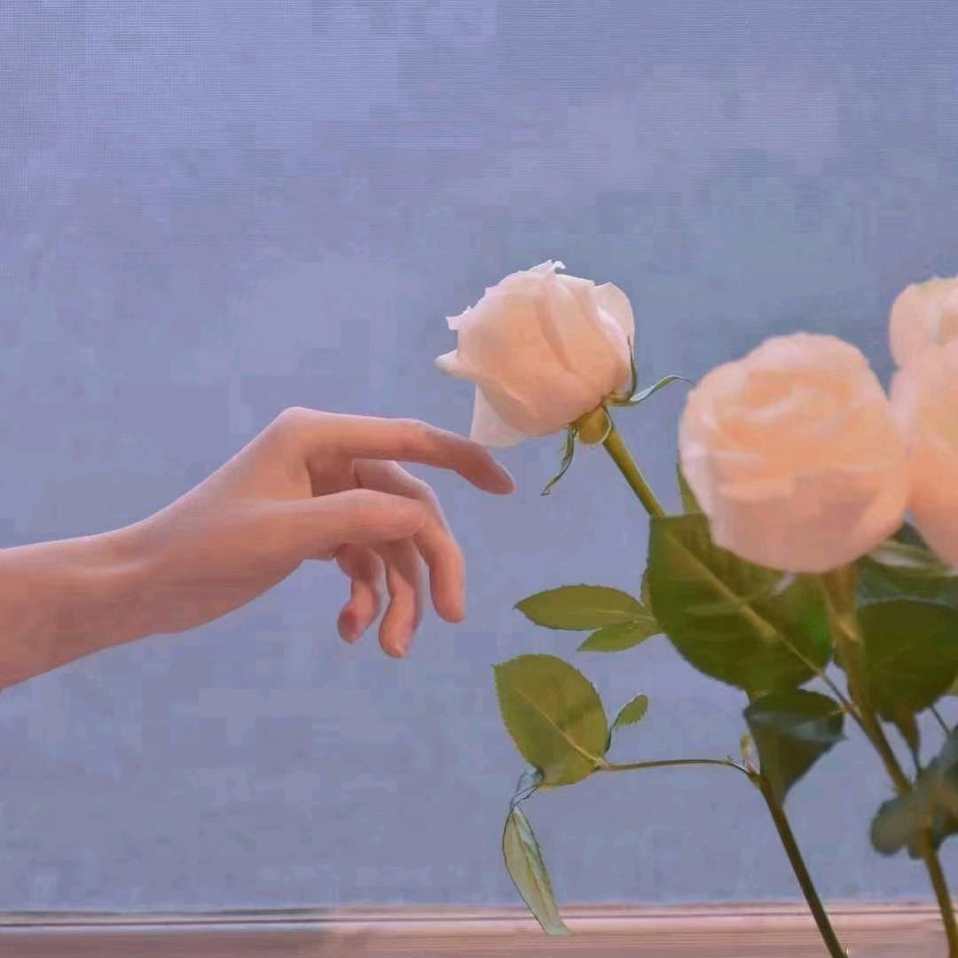 🕊꧔᭄💞封心&锁爱᭄💞🕊