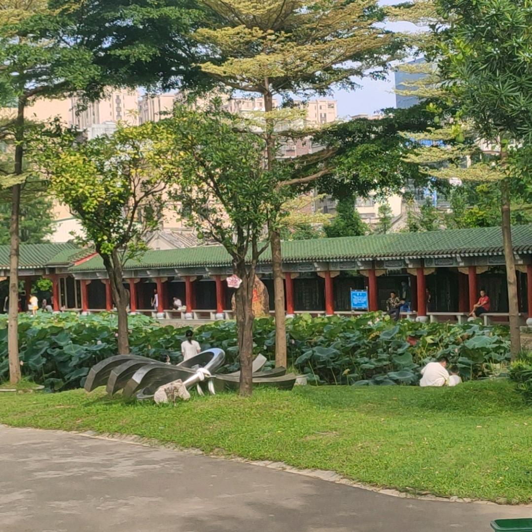 郑同学