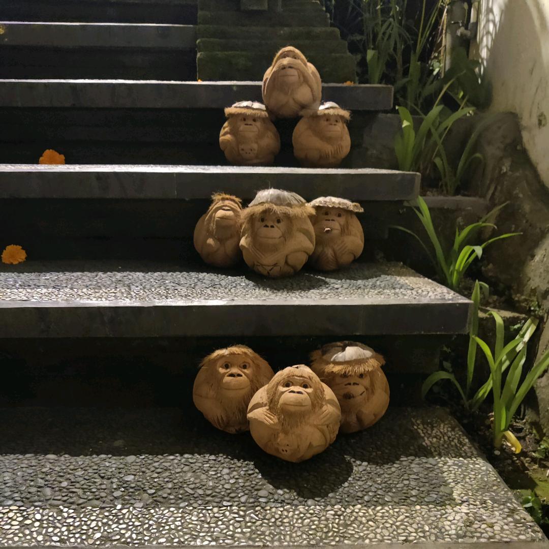 爱汽车的阿文子