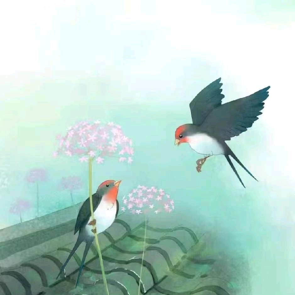 一条路