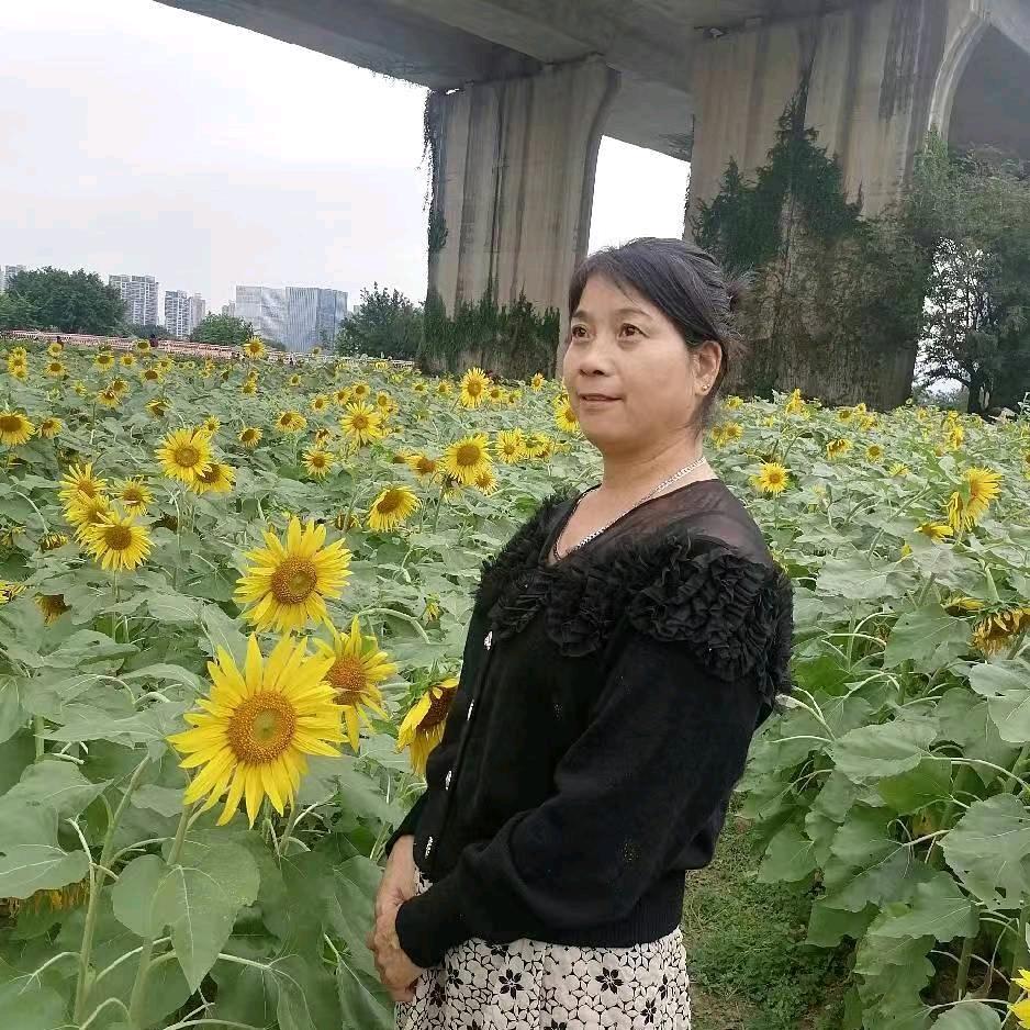 美美