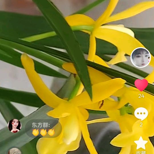 *今生只为你守候*