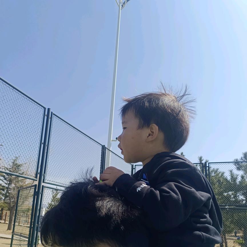 养不长的短发
