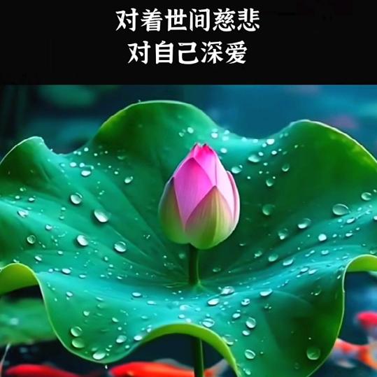 珍珍好物