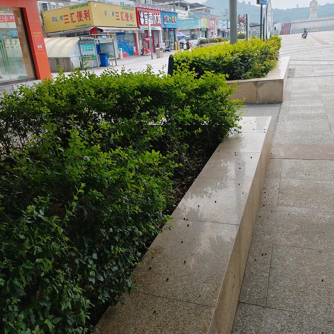 。天天开心。
