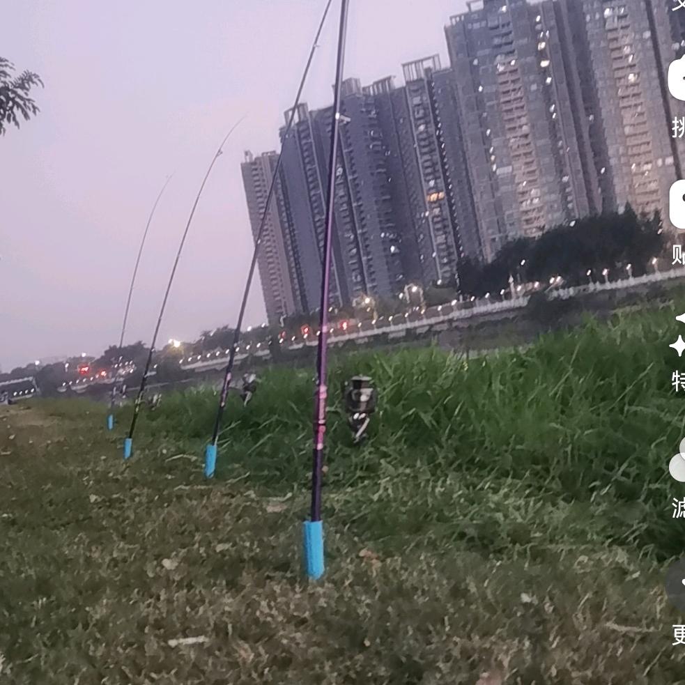 找个管家。单身难过