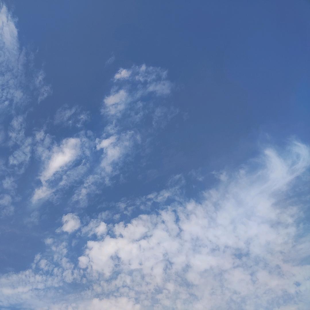 @俗人✨（带娃）