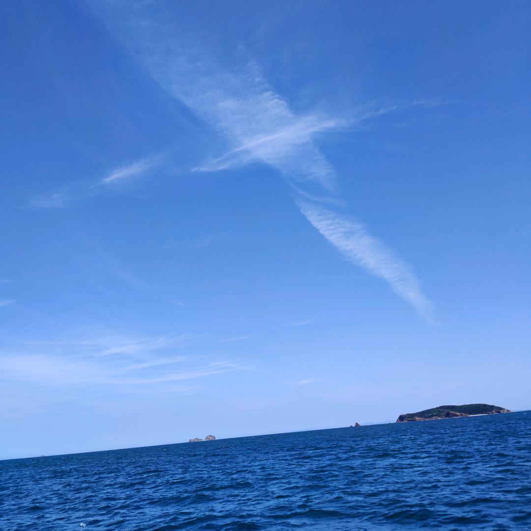 跟着风走~o(〃'▽'〃)o