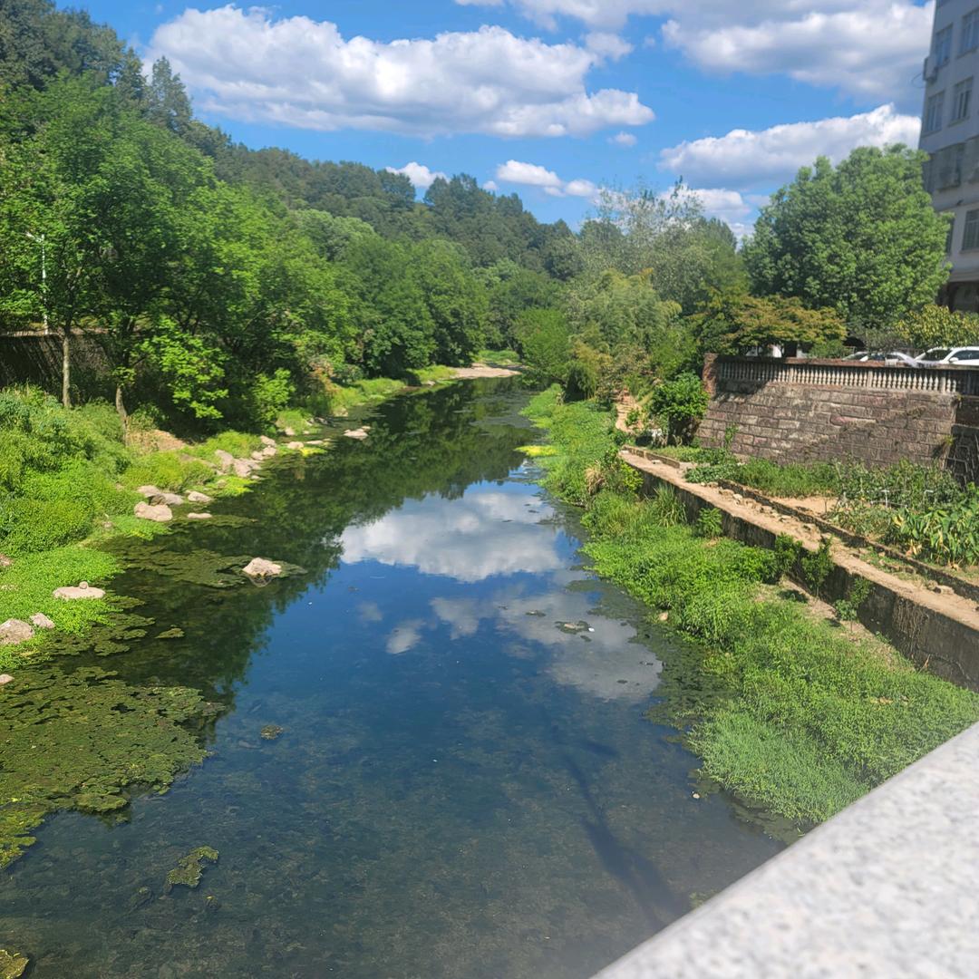 衬衣埋夹裤子45线。平车