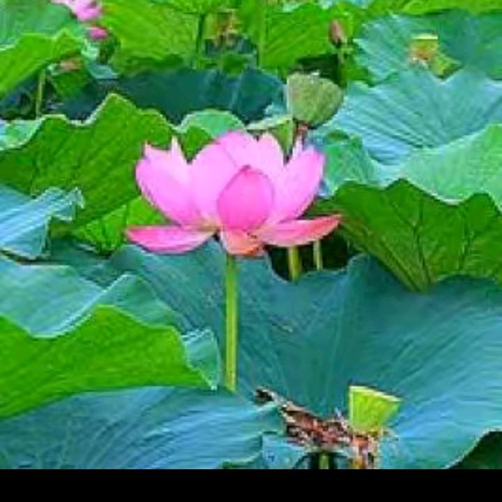 相遇