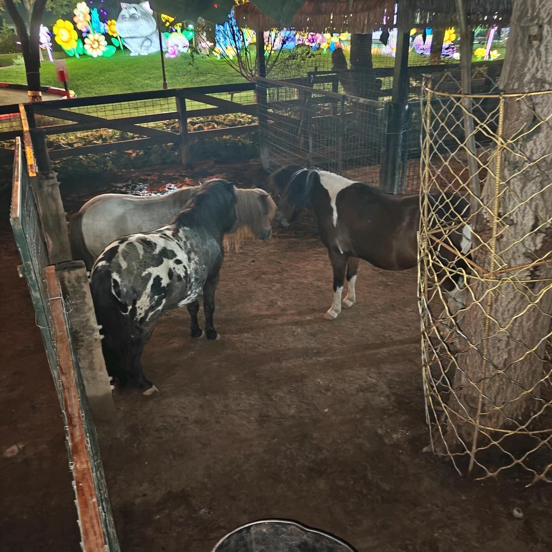 善心善念（北漂族）