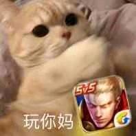 鱼教练