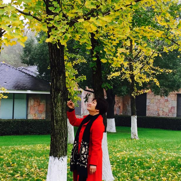 芸姐百货(18点40分)