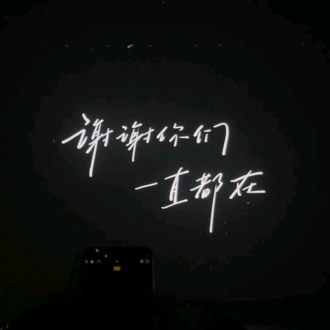 杨七七的半壶