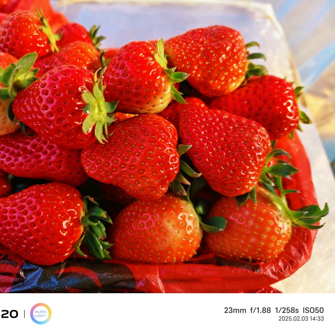 🍓草莓🍓小番茄🍅采摘园🍓🍒