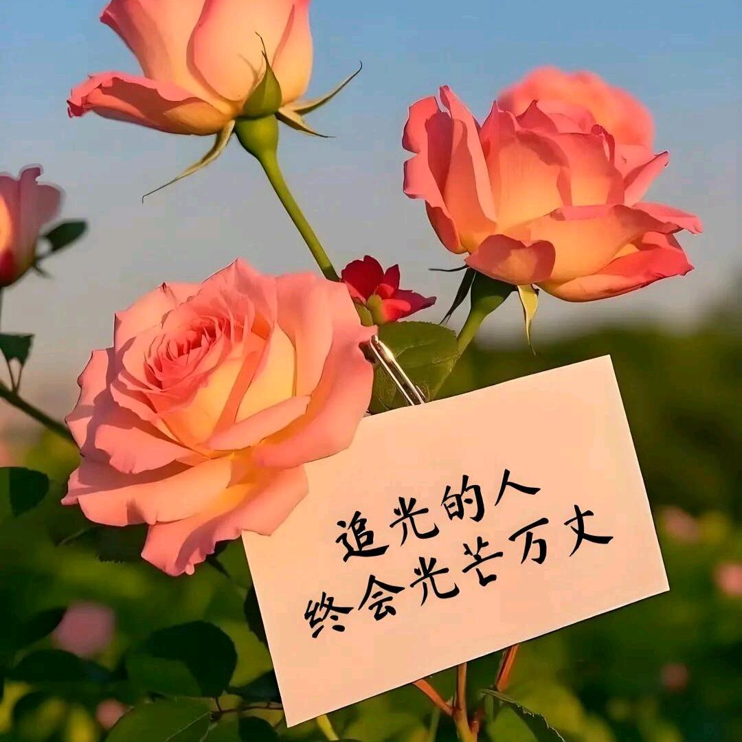浊酒饮尽余欢