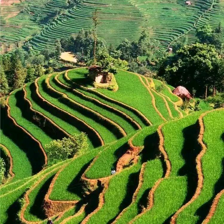 用远离头像