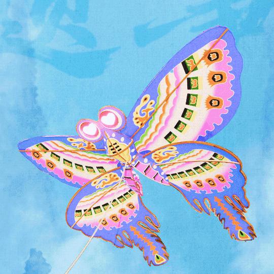 风筝是逆风的信徒