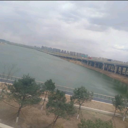 龙抬头（bao)