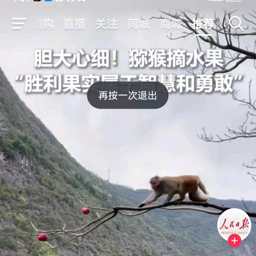 情为何物