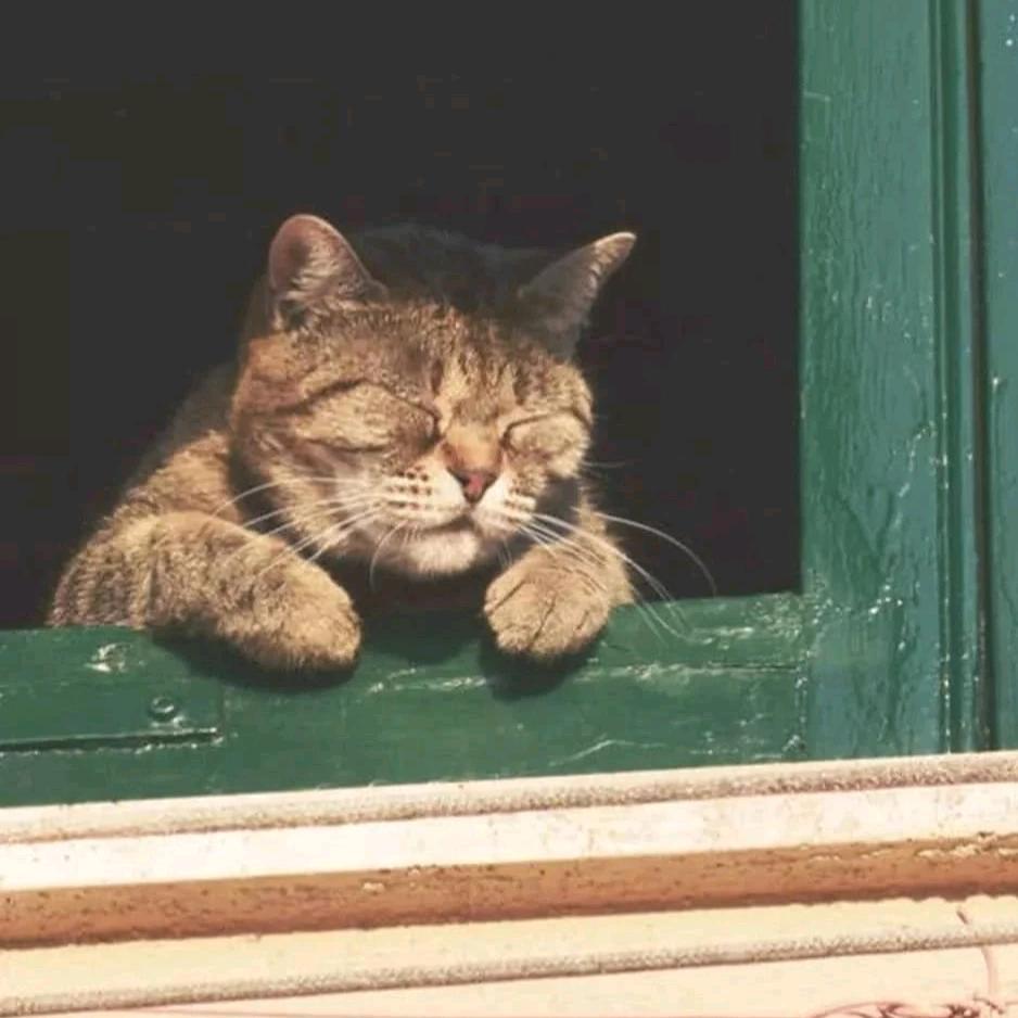 喜羊羊与喜之狼