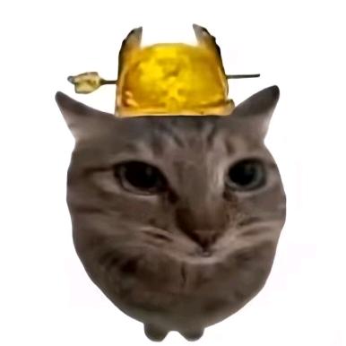 我哥是185大帅比