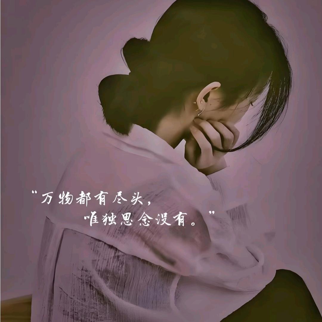 @遗憾藏在挽枫里