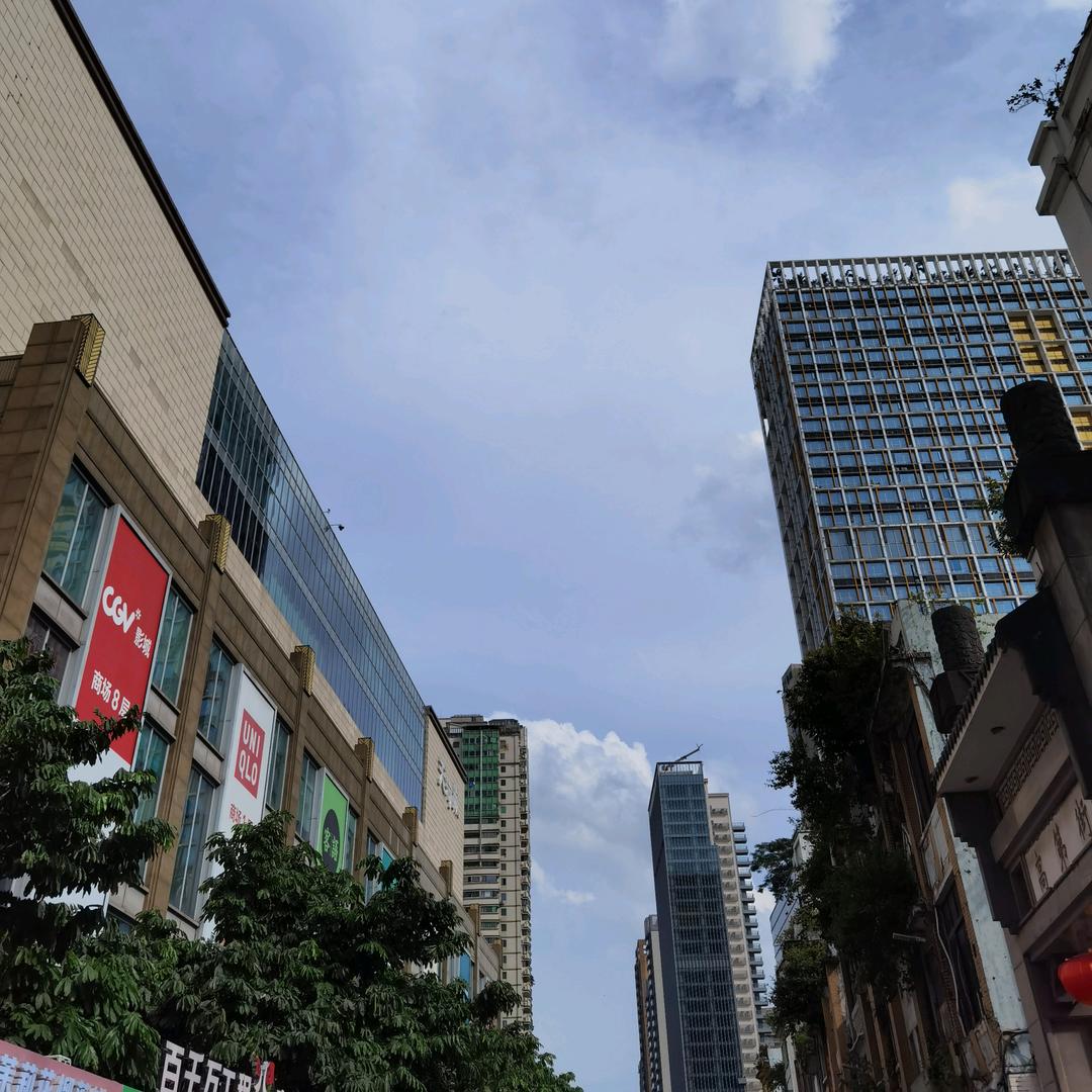 小月月🌸🌸🌸