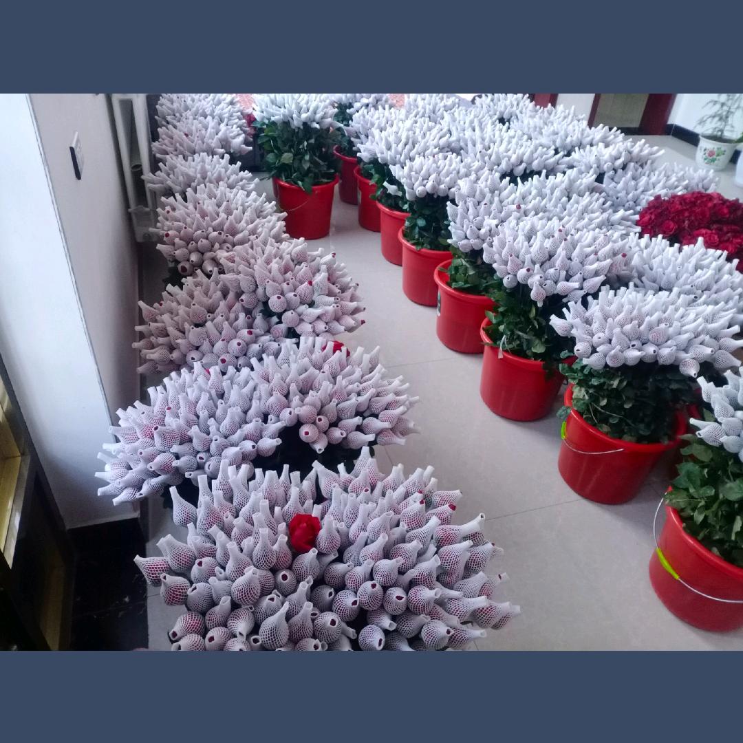 70后的我