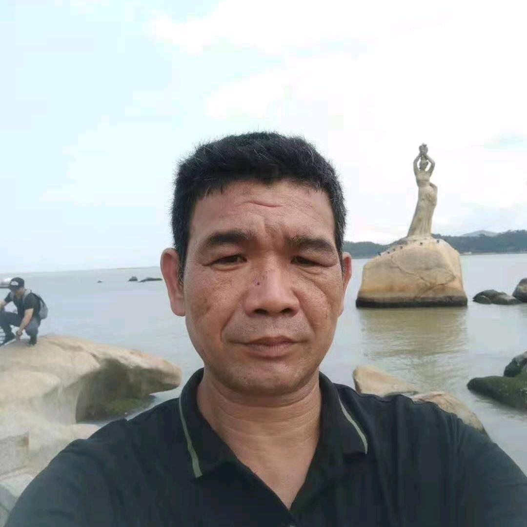 温和琴