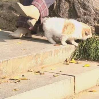 @辣妹子，（拒绝连赞）