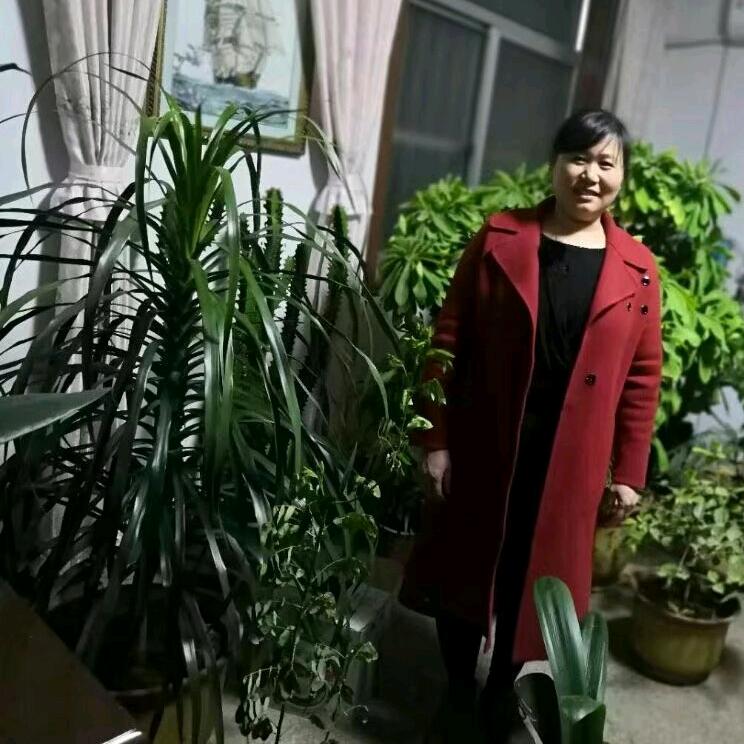 娟娟拖拉机厂家直销